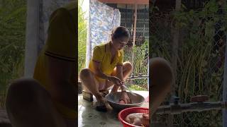 Em Gái Bào Bắp Chuối Chuẩn Bị Mồi Ngon