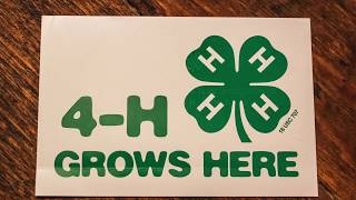 Tracy Pracheil: 4-H Youth Development