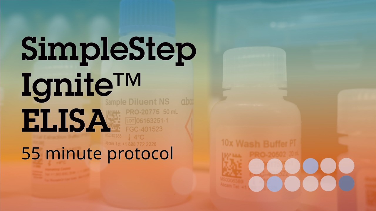 origene semaglutide elisa kit semaglutide 3 hour assay GLP-1 ELISA Kit | RayBiotech