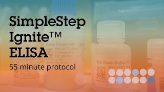 Watch Abcam’s SimpleStep Ignite™ ELISA protocol in action
