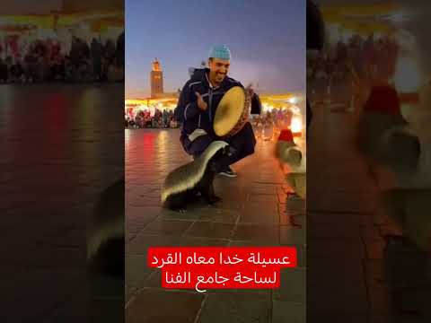 عسيلة خدا معاه القرد لساحة جامع الفنا عسيلة ملك الغابة اكسبلور  العظماء