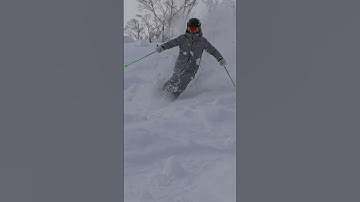 Face shots in the bumps #skiing #shortsfeed #ski #snow #japan #moguls