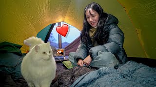 welcoming cat guests with a wood burning stove / solo camping / winter camping