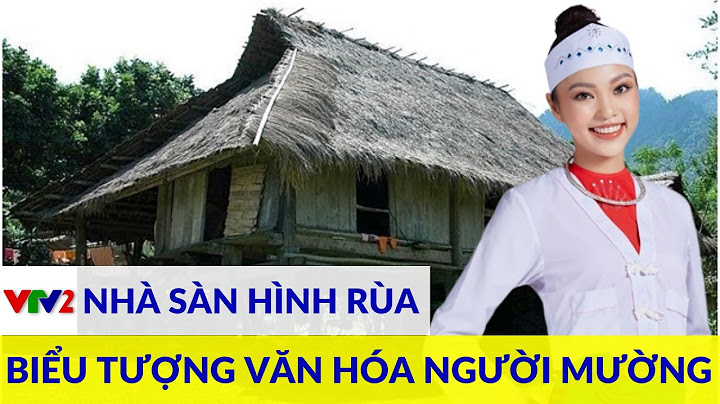 Hình ảnh con rùa trong văn hóa việt nam