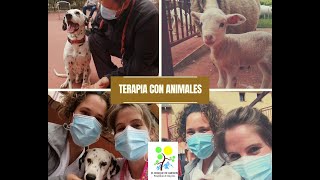 Terapia con animales