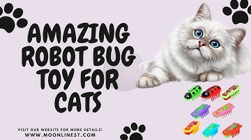 HEXBUG Nano Automatic Robotic Cat Toy - Amazing Robot Bug Toy for Cats Review | Moonlinest