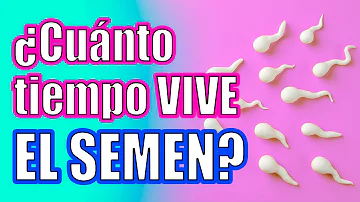 ¿Cuánto tarda el esperma masculino en ser fuerte?