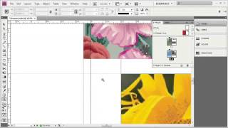 Adope Flash Tutorial CS4 Advanced Preferences