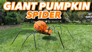 Giant Pumpkin Spider - Tutorial Information