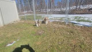 Henry and Mama Jem. by Cindy Williams 151 views 3 months ago 2 minutes, 1 second