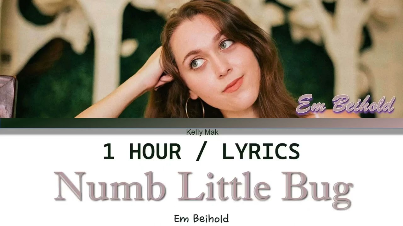 Em Beihold | Numb Little Bug [1 Hour Loop] With Lyrics - YouTube