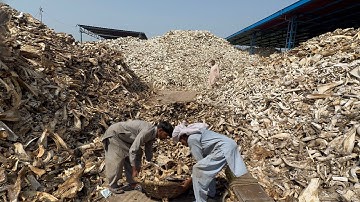 incredible process of recycling Millions of Animals Bones and manufacturing bone BUTTONS 
