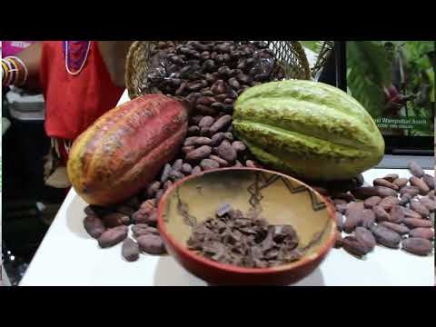 Amazonas presente en el Salon Cacao 2023