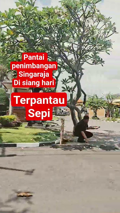 jalan jalan sianv hari#viral #wayangkulit #liriklagutiara #lucu #