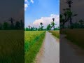 Beautiful village | Village life | Natural beauty
