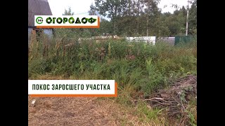 Покос травы на заросшем участке. СНТ Черная Речка, Ленинградская область