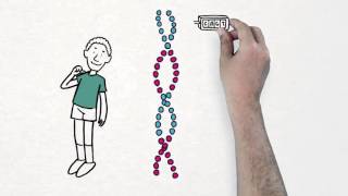Ciencia: Draw my life  El genoma de los seres vivos