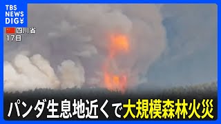 パンダ生息地近くで大規模な森林火災　中国・四川省　3300人以上が避難｜TBS NEWS DIG