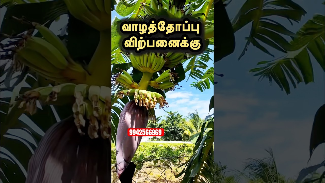 Agricultural land sale in coimbatore 