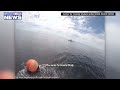 Video of a whale rescue in Essex County