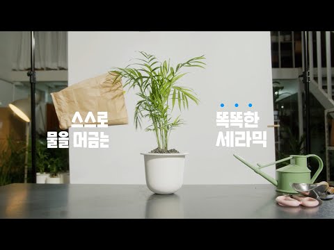 1달에 1번 물 주는 스밈 화분 self watering SMIM POT - video from Tree Planet