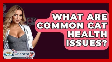 What Are Common Cat Health Issues? - Ask A Pet Vet