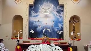 SANTA MISA Domingo de Pentecostés Misa del día, 24 de mayo, 2026