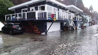 1/7/2022   King Tide flooding of Rolling Bay Walk, Bainbridge Island, WA.