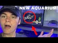 10 Gallon Fish Tank Setup *NEW* Freshwater Aquarium!