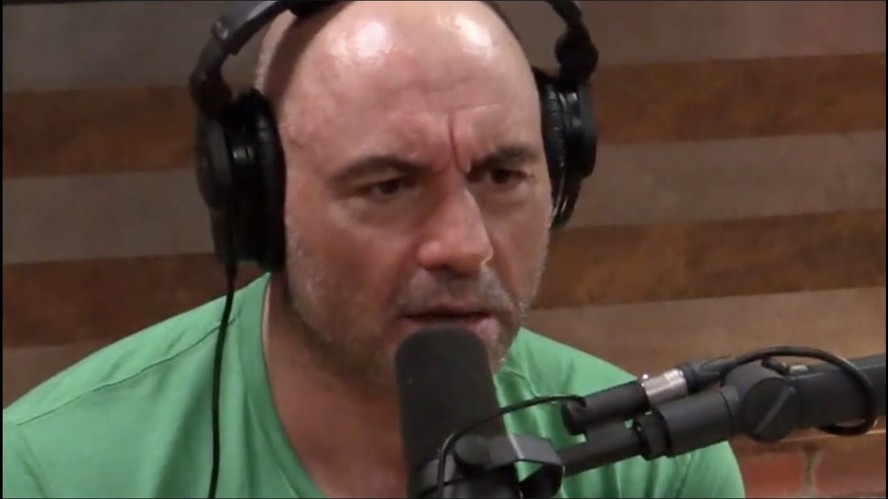 Joe Rogan on the New Zealand Shooting