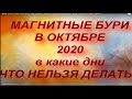 МАГНИТНЫЕ БУРИ В ОКТЯБРЕ 2020 . В КАКИЕ ДНИ. ЧТО НЕЛЬЗЯ ДЕЛАТЬ...