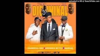 Di Criminal (Droshka Myy63, Thabsoul Rsa & Mash08.)