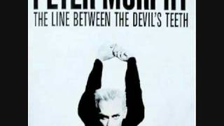 Peter Murphy - A Strange Kind Of Love