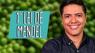 1ª LEI DE MENDEL  - Genética - Prof. Kennedy Ramos