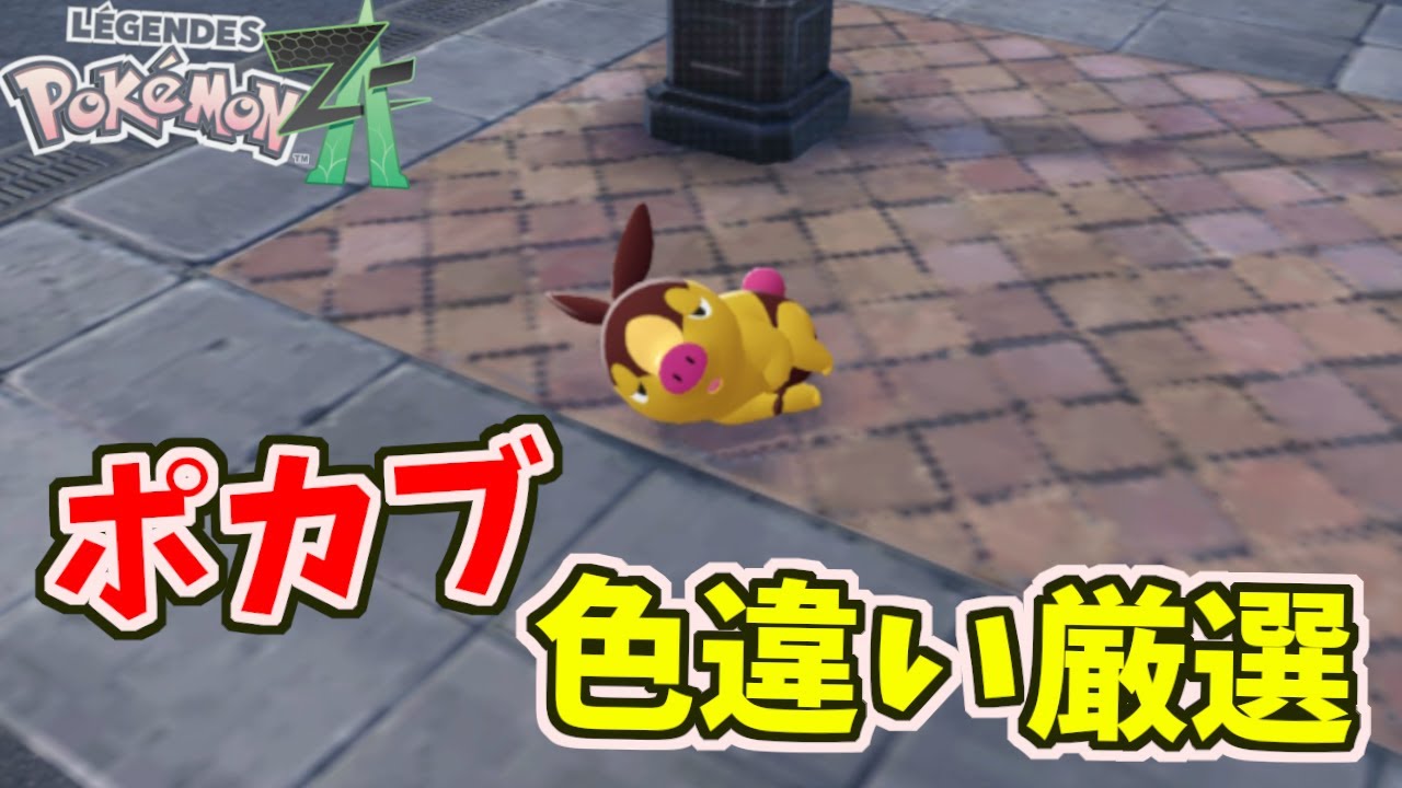 Pokémon ZA] How to Select Shiny Pokabu/Charmander [Pokémon LEGENDS