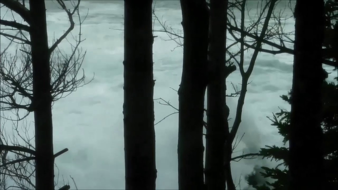 A Blustery Afternoon