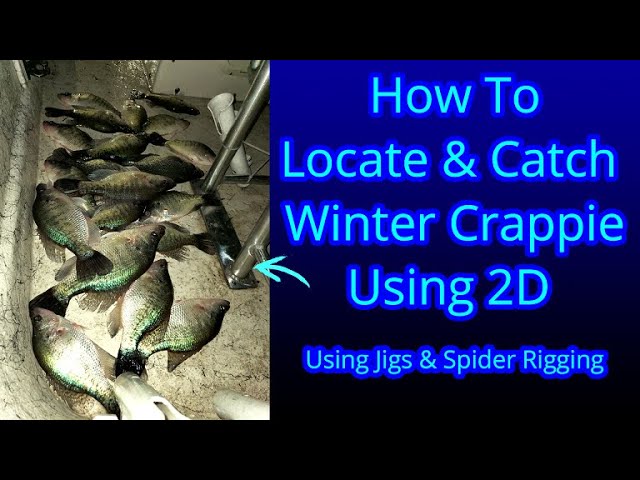 Winter Crappie Fishing - How To Locate Winter Crappie - Spider Rigging  Crappie- Lake Houston Crappie 