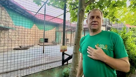 Ну Люська МОЛОДЕЦ! Даже Олег Зубков удивился ее правильному поведению и тому насколько лоялен Елисей