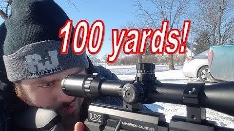 Umarex Gauntlet .22cal 100yd Accuracy 1 year UPDATE