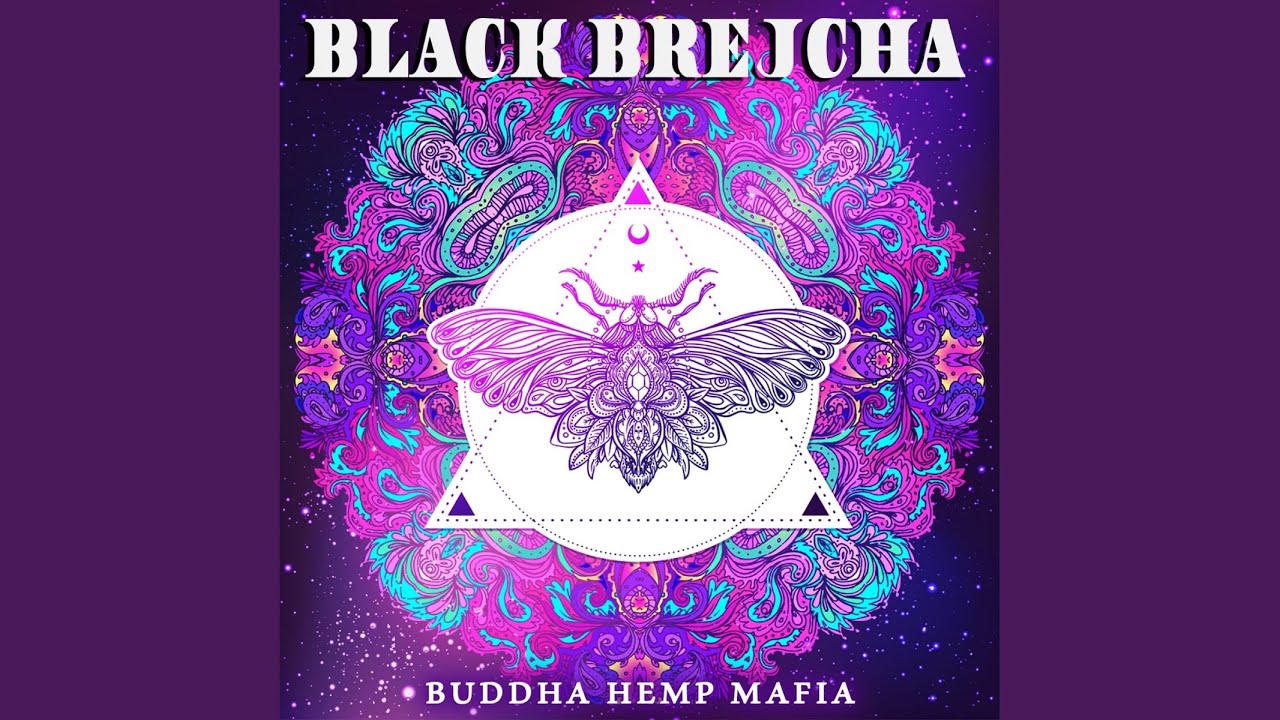 Oracular Spectacular (Original Mix)