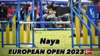 Veronika Kralikova & Naya | EUROPEAN OPEN 2023🇩🇰 by Veronika Králiková 552 views 8 months ago 3 minutes, 13 seconds