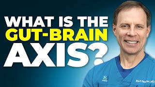 Doctor Explains The Gut-Brain Connection The Second Brain