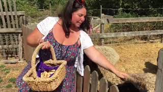 Diggin' on the Farm: Windrush Farm in Petaluma