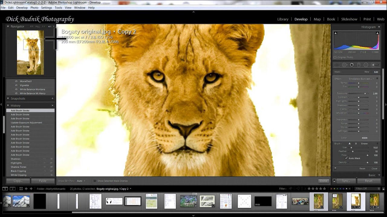 Lightroom Basics Using Adjustment Brush to Darken the Background in