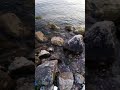 اوعه تنساني
