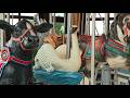 First Lady Fran DeWine highlights details of Ohio State Fair carousel