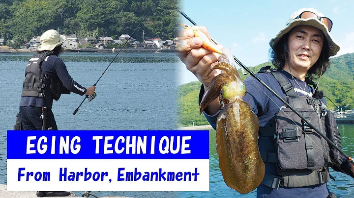 YAMASHITA SQUID Fishing  (EGING) from Harbor, Embankment."How to catch SQUID" explained. - DayDayNews