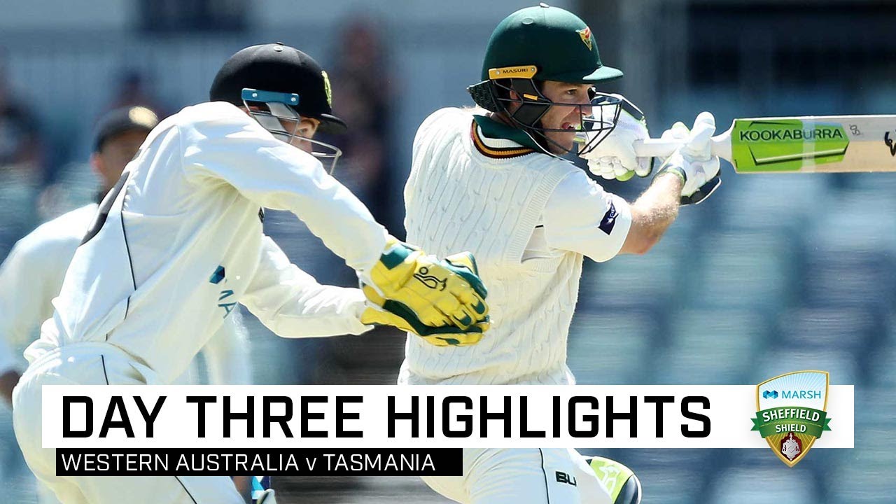 Paine shines with second ton before Marsh Bros fireworks | Marsh Sheffield Shield 2019-20