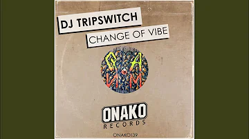 Change of Vibe (Radio Edit)