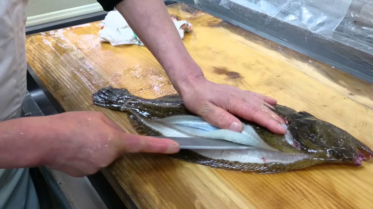 高級活魚 繁光 魚屋のヒラメ3枚おろし 5枚にはいたしません Youtube